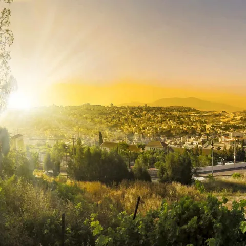 Nazareth Israël Oasis