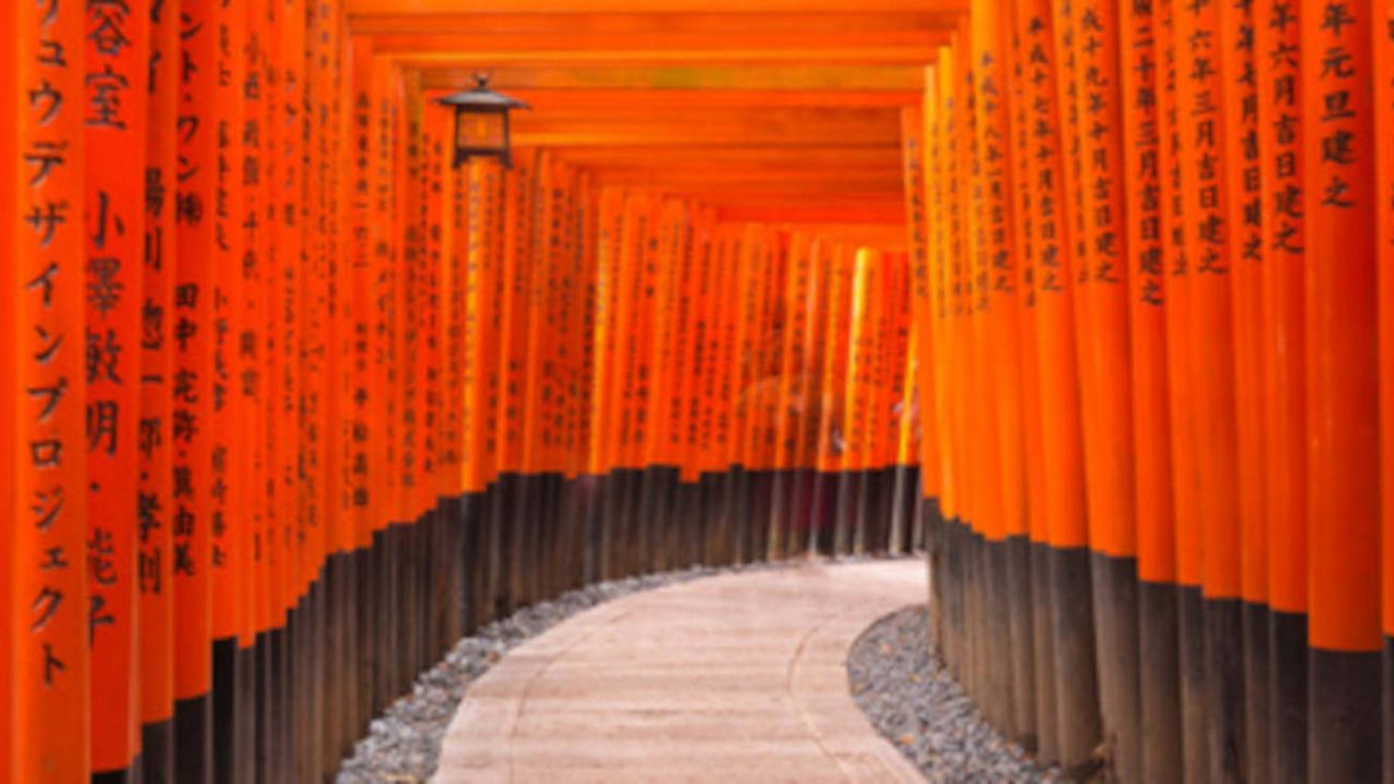 Chemin d’initiation torii Japon Oasis