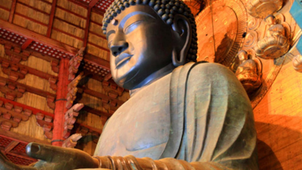 Majestueux Bouddha Japon Oasis