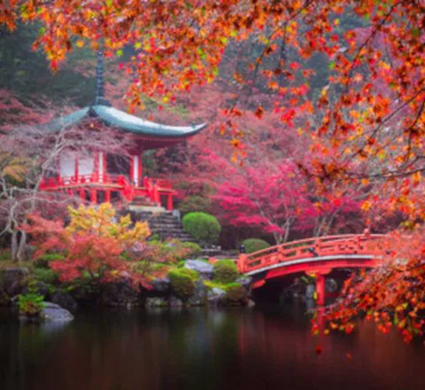 Temple bouddhiste daigo ji japon Oasis