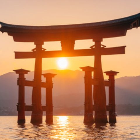 Torii au coucher du soleil japon Oasis