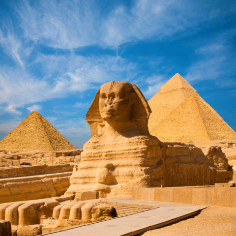 Contemplation Sphinx Egypte Oasis