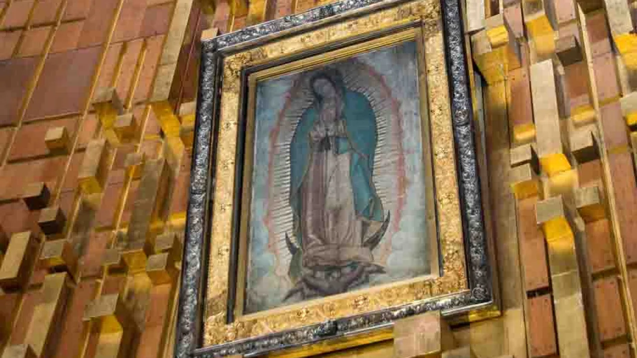 Cathédrale Notre Dame de Guadalupe, Mexique, Oasis