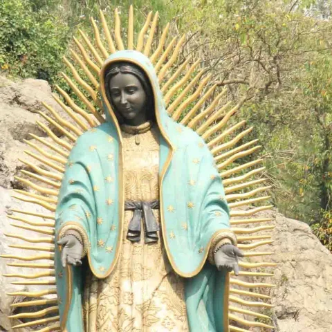 Vierge de Guadalupe, Mexique, Oasis