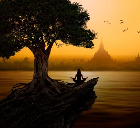EVE BIR FAB MAR 21 - Birmanie croisière méditation 9