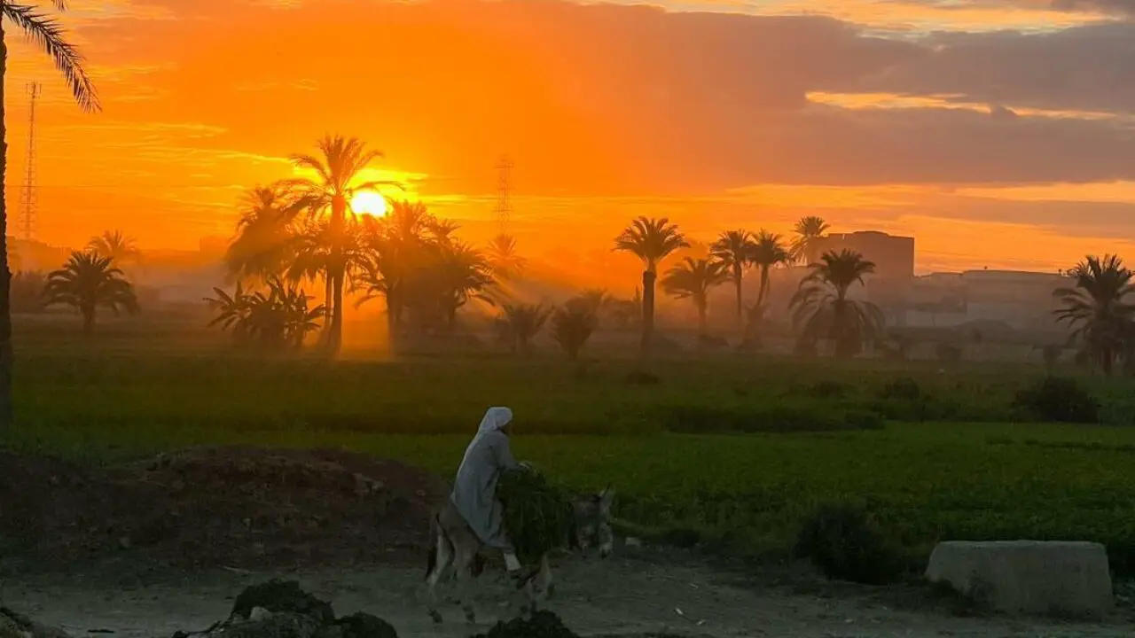 Egypte voyage développement personnel Fayoum palmeraie