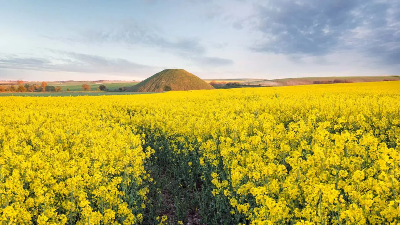 Colline Silbury Angleterre Oasis