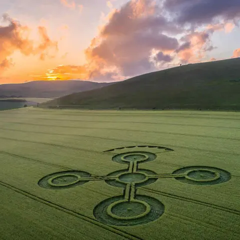 Voyage initiatique au cœur des Crop Circles