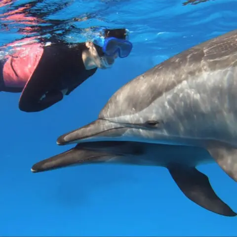 Snorkeling turciops Egypte Oasis