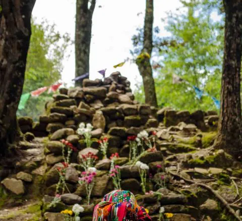 Iximche, centre cérémoniel maya, Guatemala, Oasis