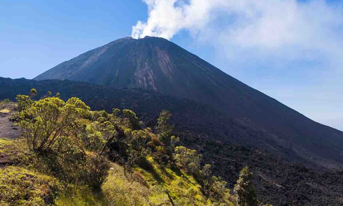 Volcan Pacaya, Guatemala, Oasis