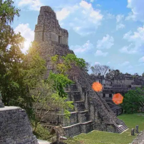 Tikal, Guatemala, Oasis