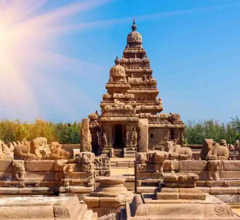 Temple de Mahabalipuram, Inde, Oasis