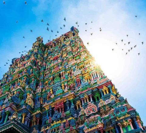 Temple de Meenakshi à Madurai, Inde, Oasis