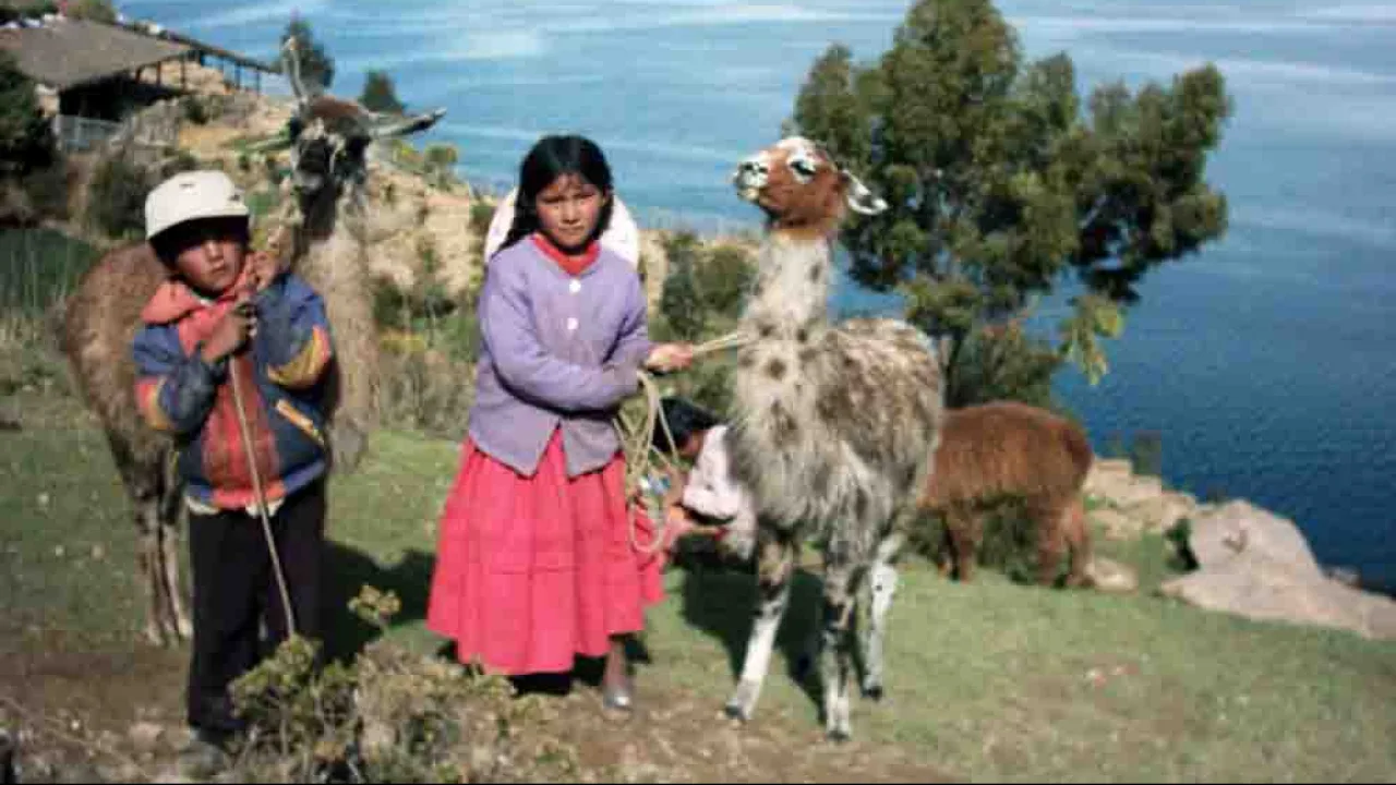 Enfant du Lac Titicaca, Pérou, Oasis