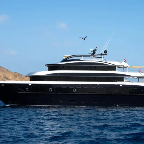 Croisière dauphins en Mer Rouge - bateau