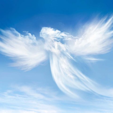 Nuage en forme d'Ange, Oasis