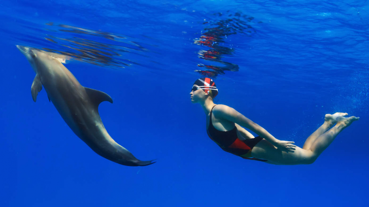 Expérience nage dauphins Egypte Oasis