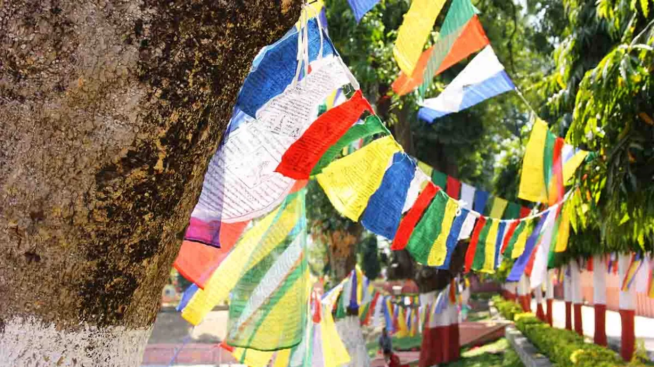 Drapeaux de prière à Bodhgaya, Inde, Oasis