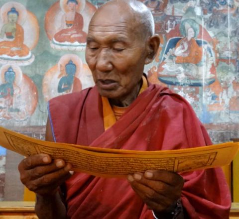 Lama qui lit les textes sanskrits, Inde Ladakh, Oasis