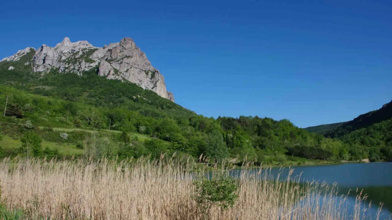 Mont Bugarach en France, Oasis