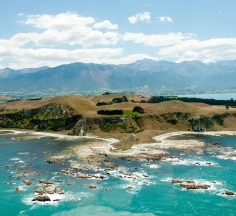 Kaikoura Nouvelle-Zélande Oasis