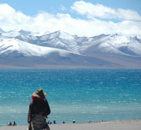 Contemplation Tibet Oasis