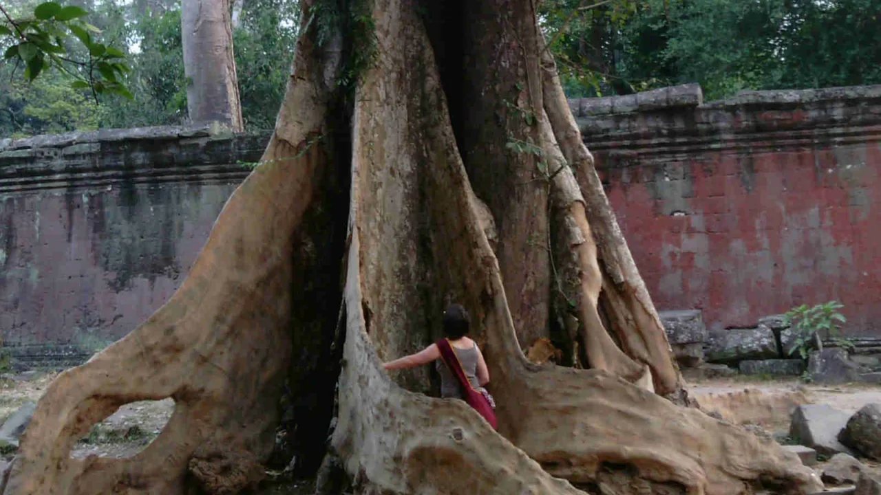 Energie arbre Ta Phrom Cambodge, Oasis