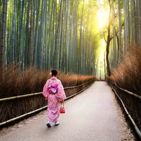 Cheminement spirituel Japon Oasis