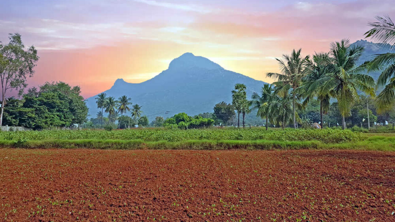 Arunachala voyage spirituel en Inde Oasis
