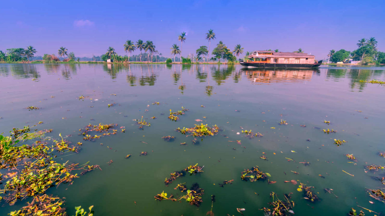 Kerala retraite spirituelle Inde Oasis