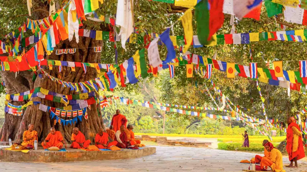 Népal, Lumbini, arbre bodhi