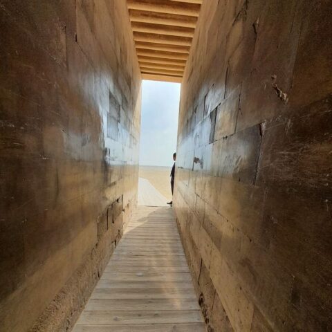 Pyramides Voyage Conscience Oasis
