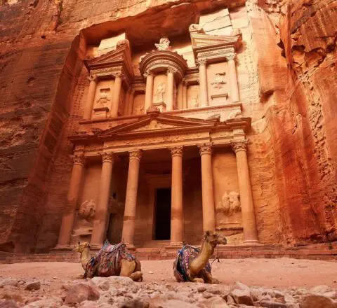 Jordanie lumineuse Pétra chameaux Oasis