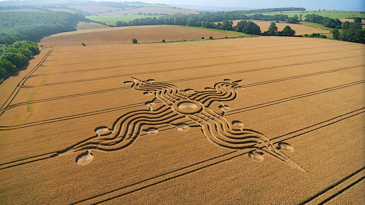 Circuit conscience crop circles Oasis
