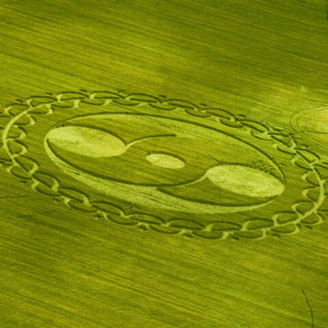 Crop circles circuit conscience