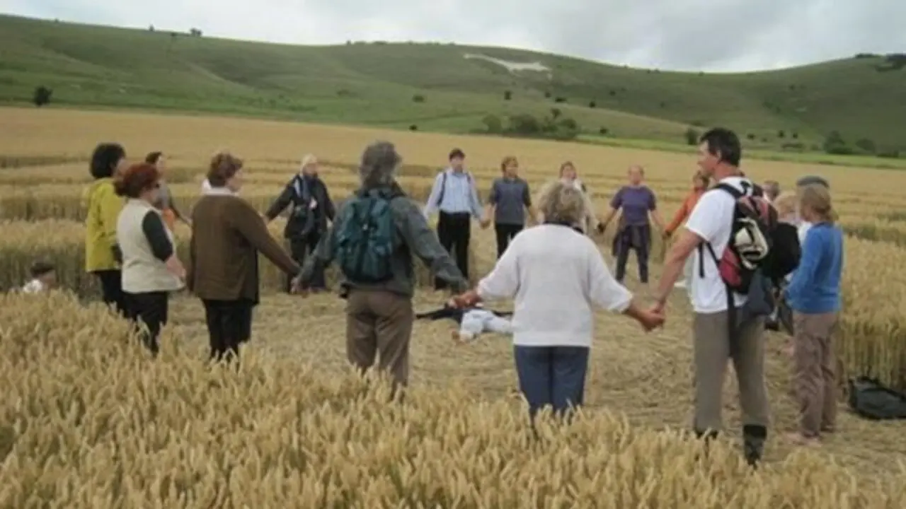 Crop circles expérience en cercle