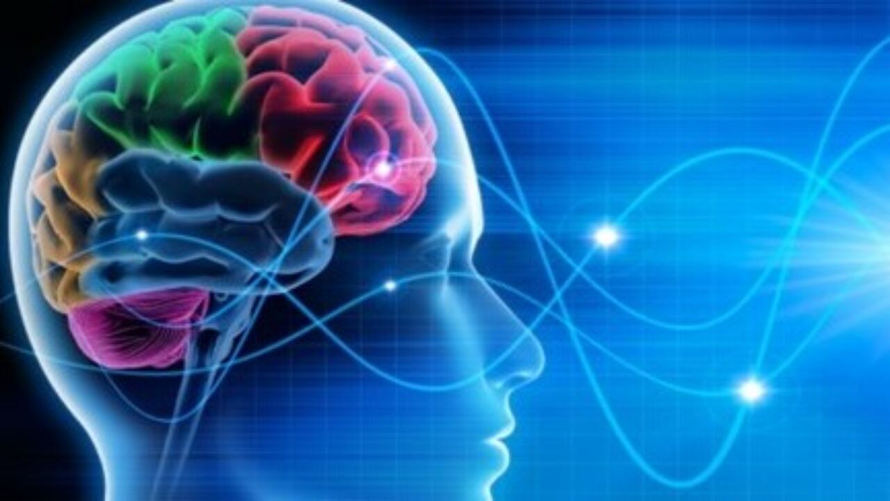 High concept hypnose cerveau