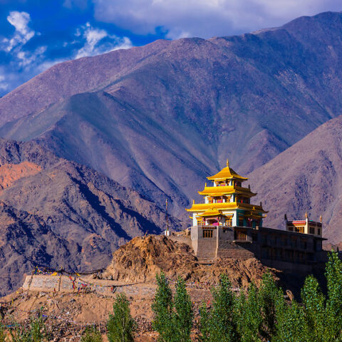 Inde Ladakh Oasis