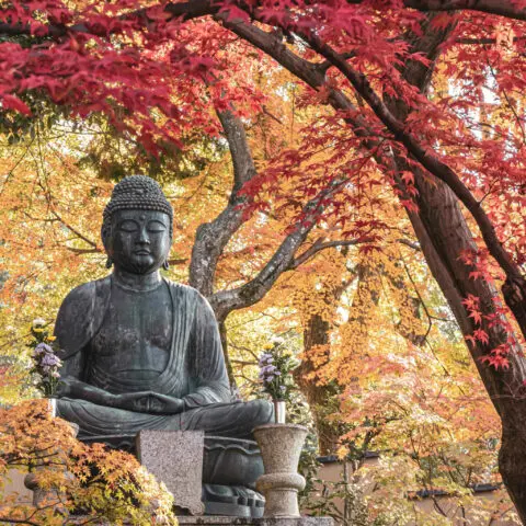 Japon Kyoto Automne voyage spirituel Oasis
