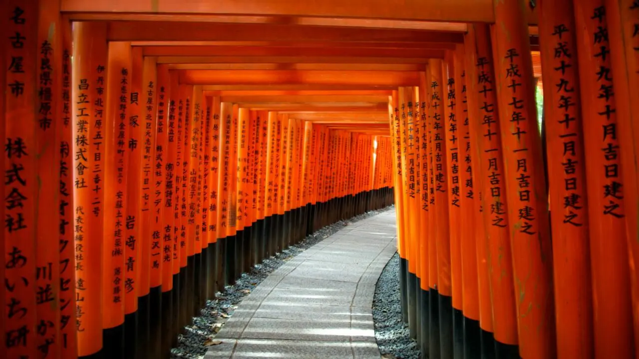 Japon Torii voyage spirituel Oasis