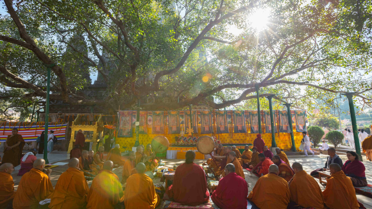 Inde du Nord arbre sacré de la bodhi Bodhgaya pèlerinage spirituel Oasis