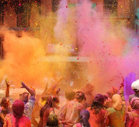 Inde du Nord Holi festival Oasis