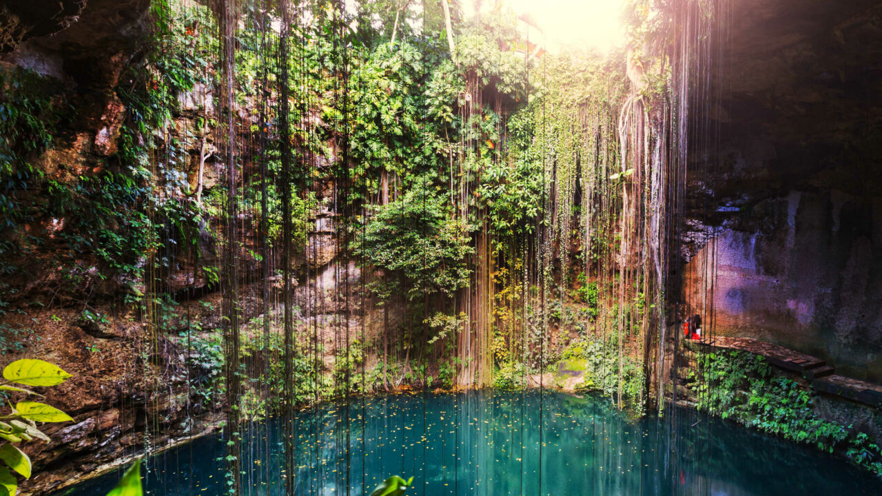 Ik-Kil Cenote Mexique Oasis