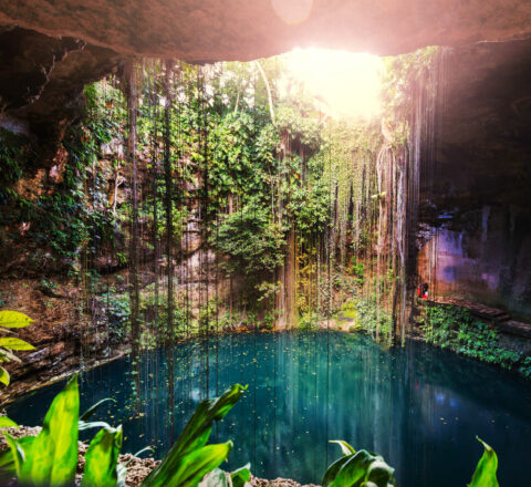Ik-Kil Cenote Mexique Oasis