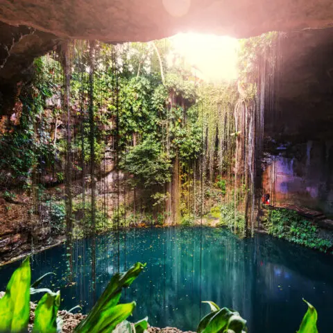 Ik-Kil Cenote Mexique Oasis