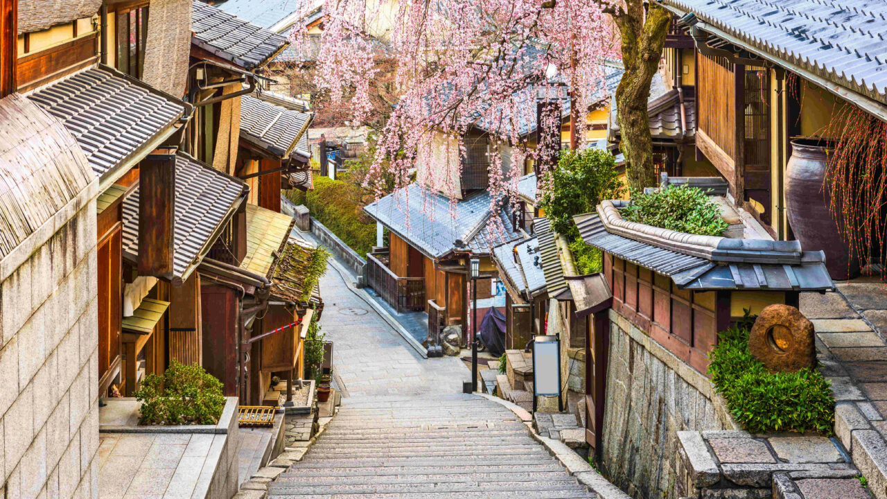 Kyoto Japon circuit en conscience cerisiers Oasis
