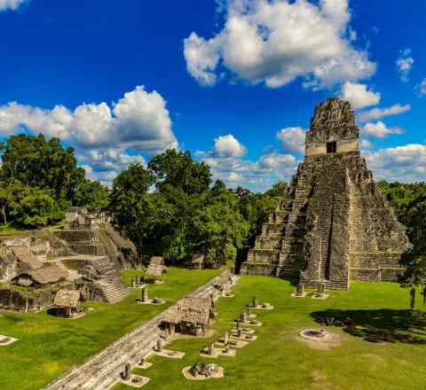Parc National Tikal Guatemala initiation maya Oasis