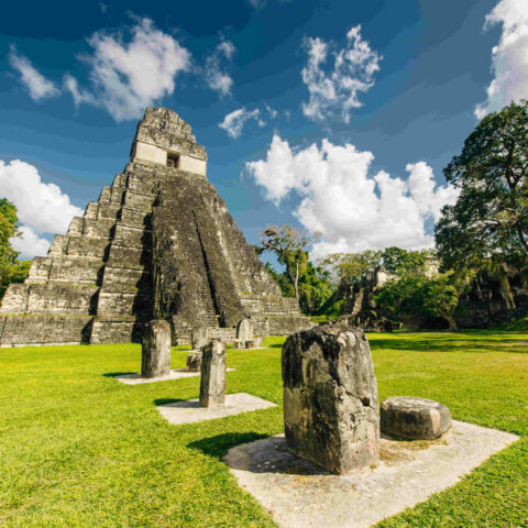 Tikal parc national Guatemala Oasis
