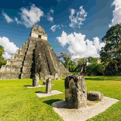 Tikal parc national Guatemala Oasis